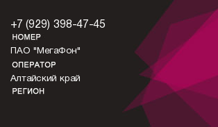 9293984745